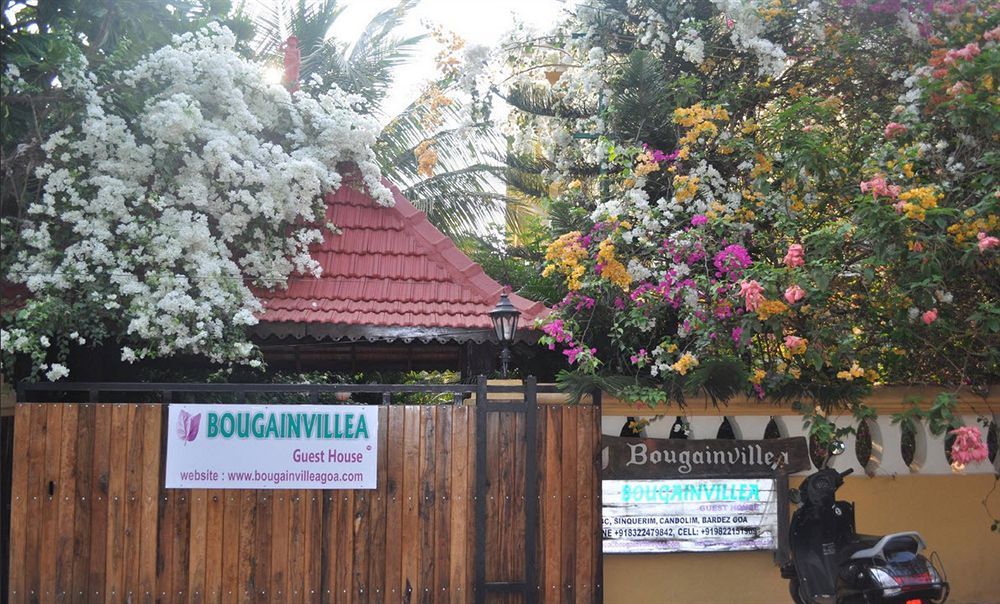 Bougainvillea Guest House Candolim Exterior photo